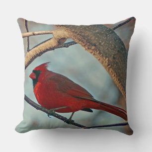 Pretty Boy Male Cardinal Throw Pillow