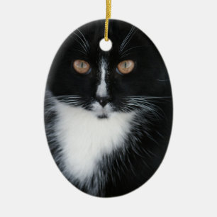 Pretty Boy Tuxedo Kitty Ceramic Ornament