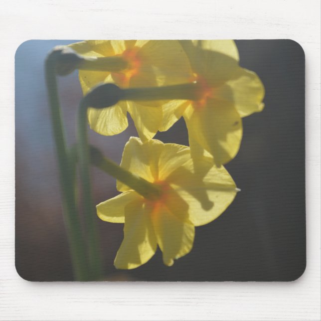 Pretty bright colour yellow daffodil flower mouse pad (Front)
