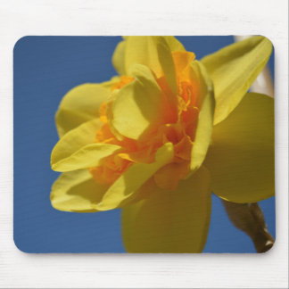Pretty bright colour yellow flower mousepad. mouse pad