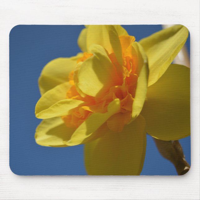 Pretty bright colour yellow flower mousepad. mouse pad (Front)