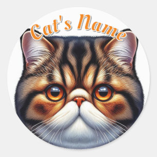 Pretty British Shorthaired Tabby Cat • Add a Name Classic Round Sticker