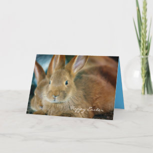 Pretty Brown Bunny Custom Easter Card