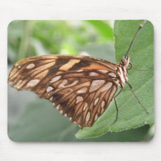 Pretty Brown Butterfly Mousepad