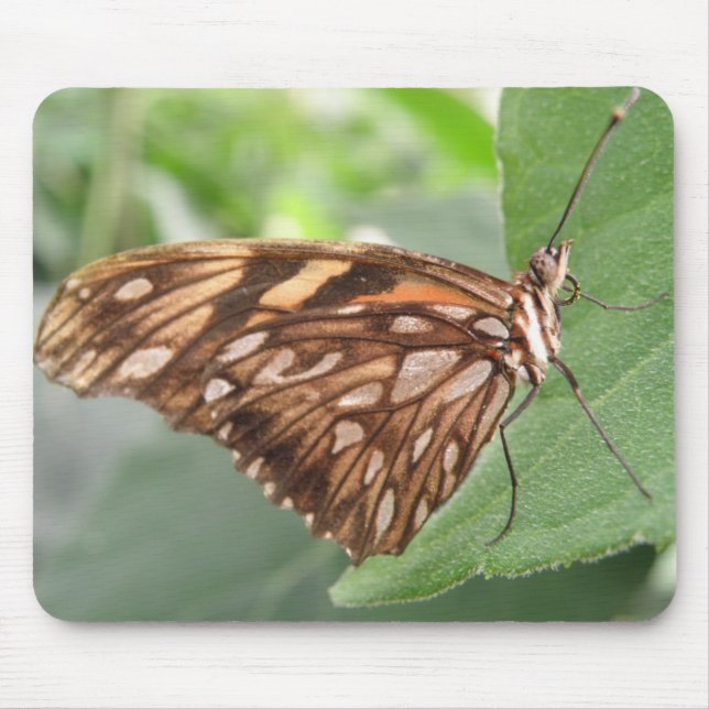 Pretty Brown Butterfly Mousepad (Front)