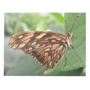 Pretty Brown Butterfly Notepad