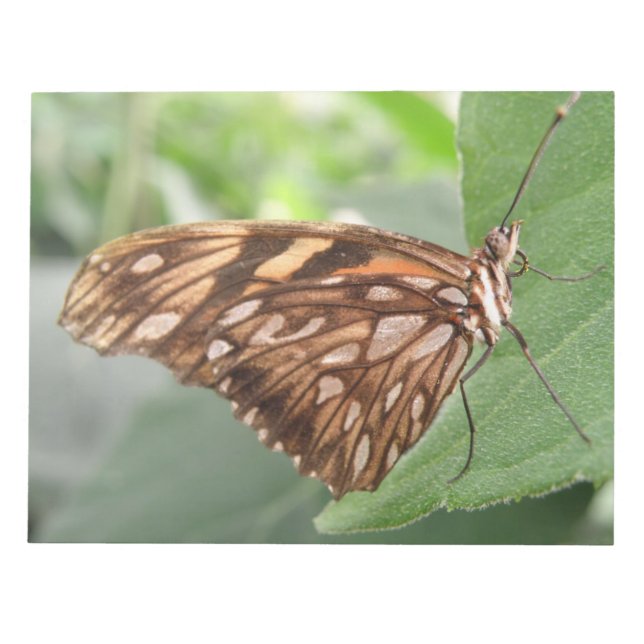 Pretty Brown Butterfly Notepad (Front)
