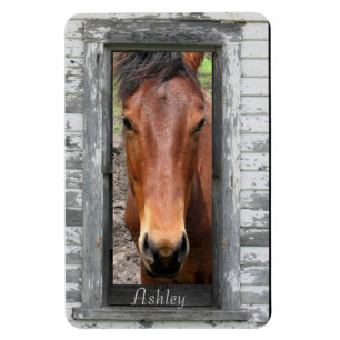 Pretty Brown Horse, Customize name Magnet