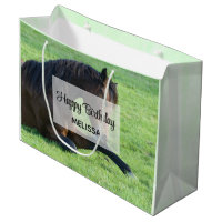 Pretty Brown Horse Laying in the Grass Birthday