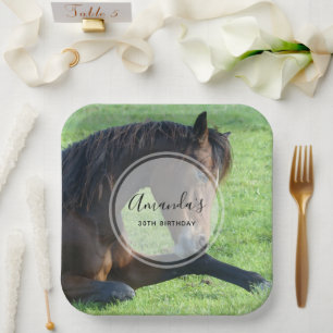 Pretty Brown Horse Laying in the Grass Birthday Paper Plate