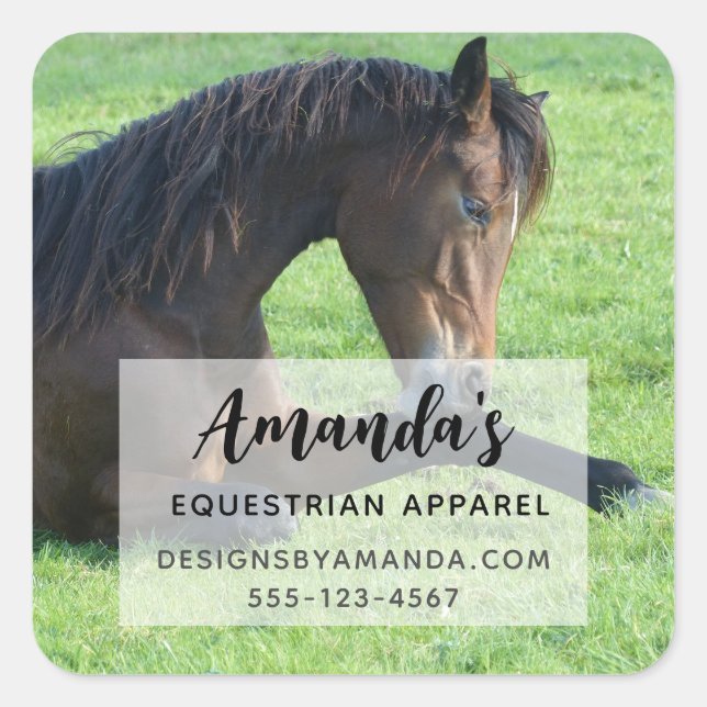 Pretty Brown Horse Laying in the Grass Business Square Sticker (Front)