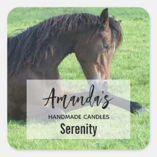 Pretty Brown Horse Laying in the Grass Candle Biz Square Sticker