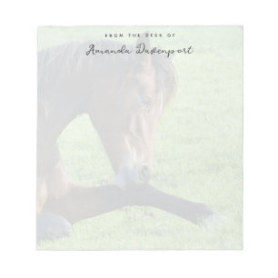 Pretty Brown Horse Laying in the Grass Notepad