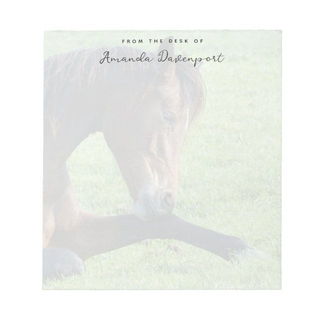 Pretty Brown Horse Laying in the Grass Notepad (Front)