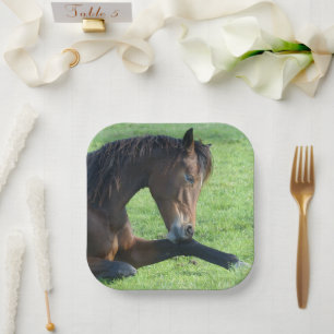 Pretty Brown Horse Laying in the Grass Paper Plate