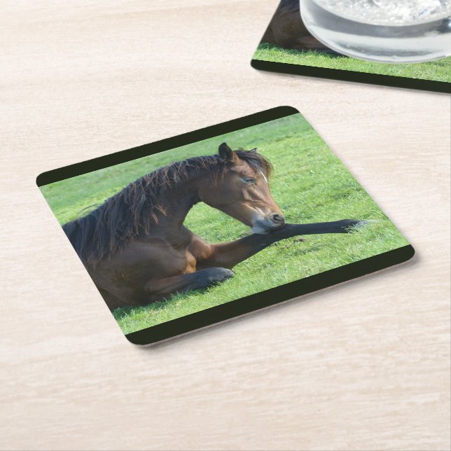 Pretty Brown Horse Laying in the Grass Square Paper Coaster (Angled)