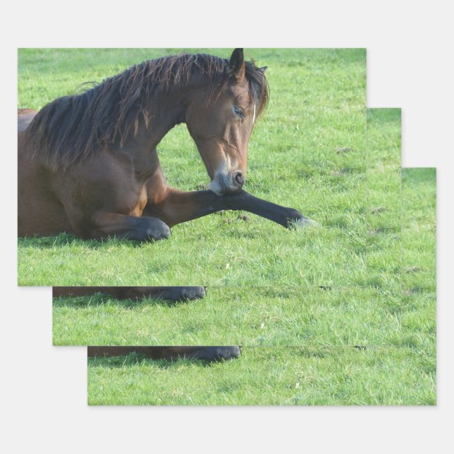 Pretty Brown Horse Laying in the Grass Wrapping Paper Sheet (Set)
