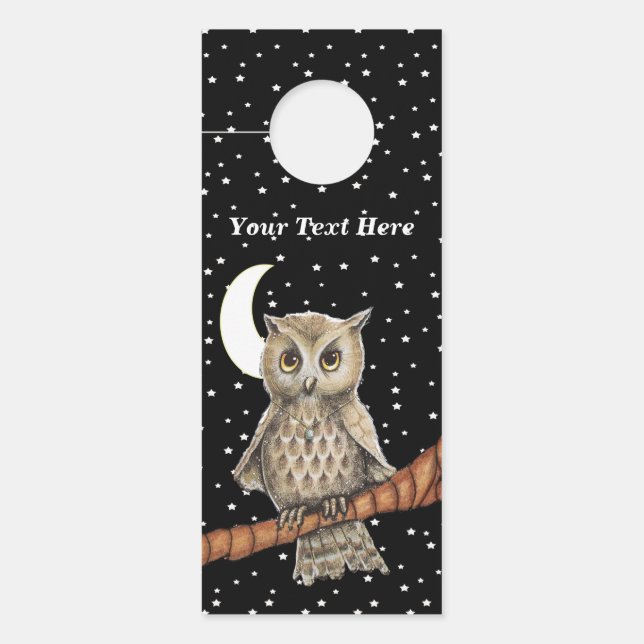 Pretty Brown Owl Branch Moon Stars Black Sky Door Hanger (Front)