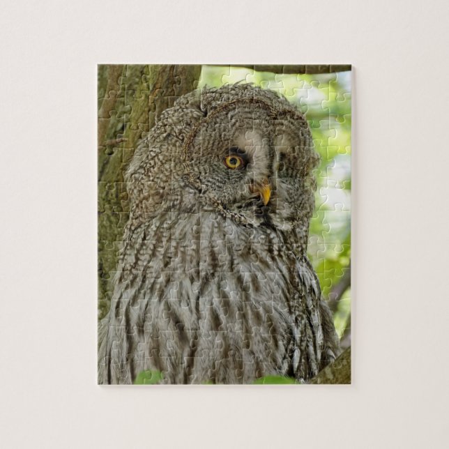 Pretty Brown Owl Jigsaw Puzzle (Vertical)
