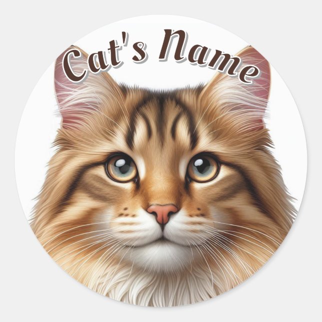 Pretty Brown Tabby Longhaired Cat • Personalized Classic Round Sticker (Front)