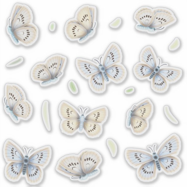 Pretty Butterflies Transparent Window & Mirror (Front)