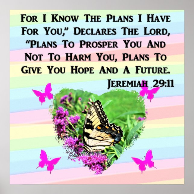 PRETTY BUTTERFLY JEREMIAH 29:11 POSTER (Front)