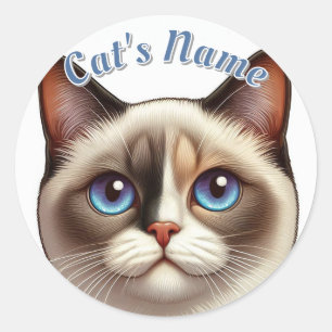 Pretty Calico Siamese Shorthaired Cat • Add a Name Classic Round Sticker