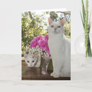 Pretty Cat and Kitten Mother's Day Card