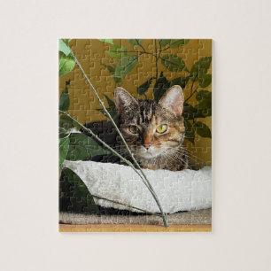 Pretty Cat Behind Leaves on Shelf, Puzzles