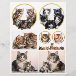 Pretty Cat Illustrations inspired by H. Maguire