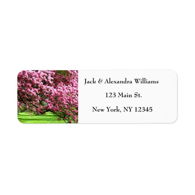 Pretty Cherry blossom Pink Rustic Return Address   (Front)