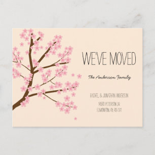 Pretty Cherry Blossoms Sakura Tree We've Moved Postcard