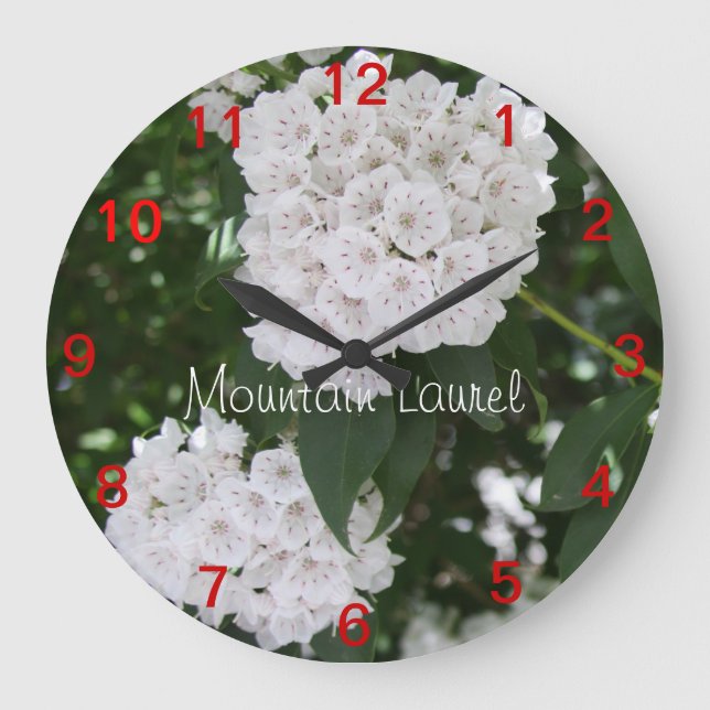 Pretty Close-up Mountain Laurel Flowers Wall Clock (Front)