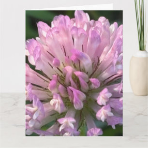Pretty Clover Flower Card