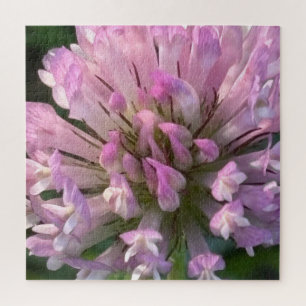 Pretty Clover Flower Jigsaw Puzzle