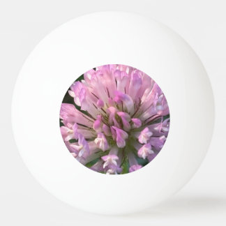 Pretty Clover Flower  Ping Pong Ball