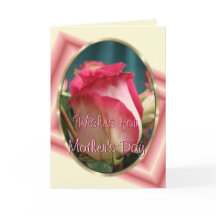 Pretty Coral Bi-colour Rose2- any occasion