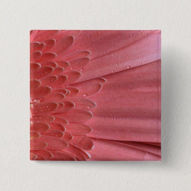 Pretty Coral Pink Gerbera Daisy 2 Inch Square Button (Front)