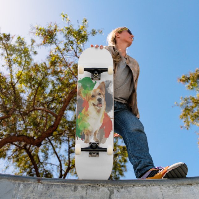 Pretty Corgi.  Skateboard (Outdoor 1)
