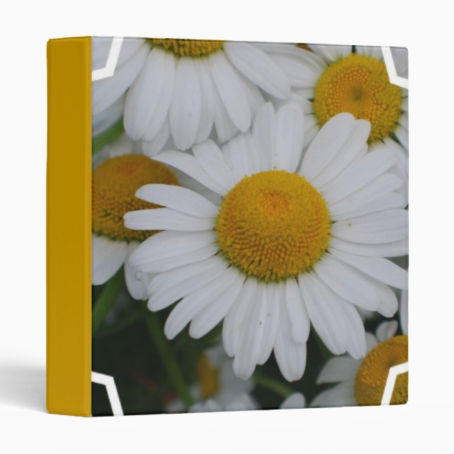 Pretty Daisies Binder (Front/Spine)