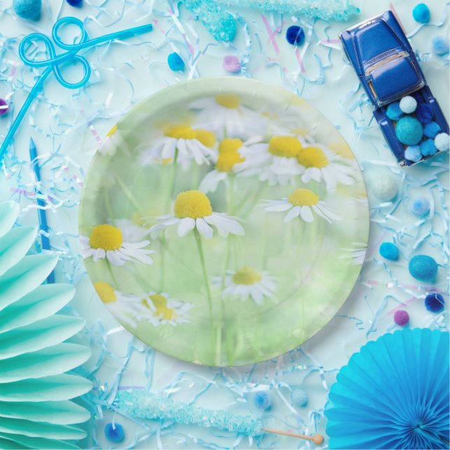 Pretty Daisies in a Field Paper Plate (Party)