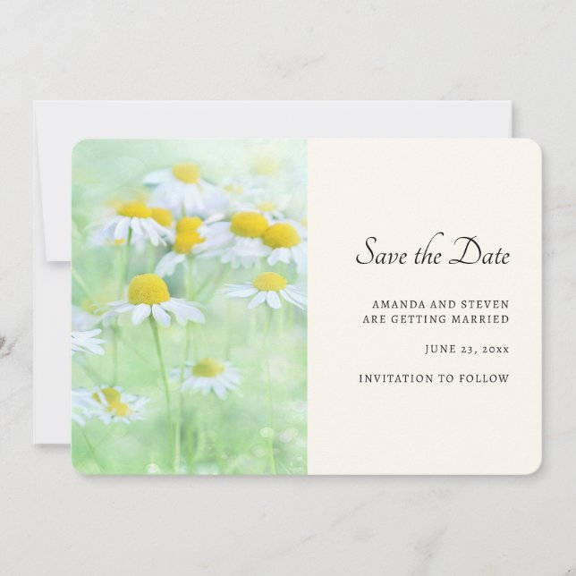 Pretty Daisies in a Field Photograph Save The Date (Front)