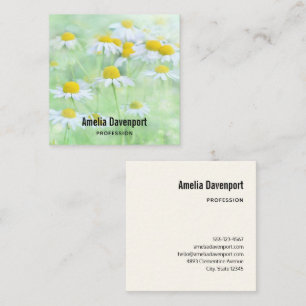 Pretty Daisies in a Field Photograph Square Business Card