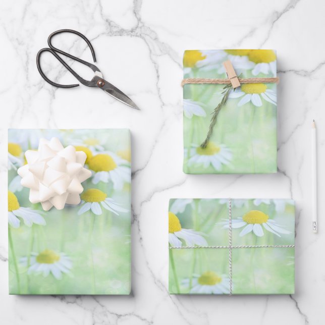 Pretty Daisies in a Field Photograph Wrapping Paper Sheet (Front)