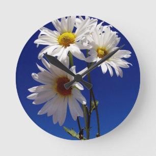 Pretty Daisies Round Clock