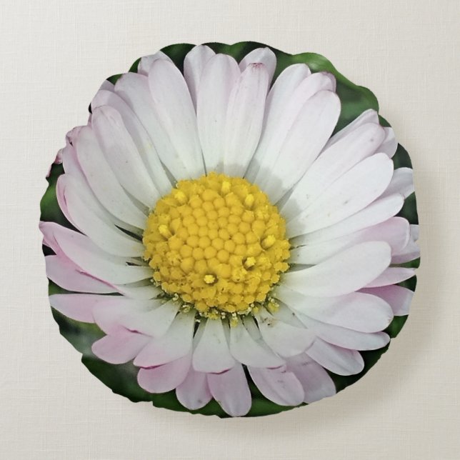 Pretty daisy baby round pillow (Front)
