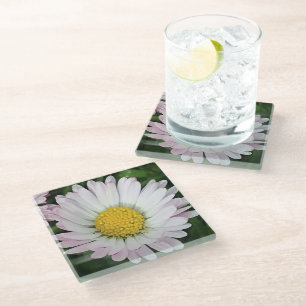 Pretty daisy glass coaster