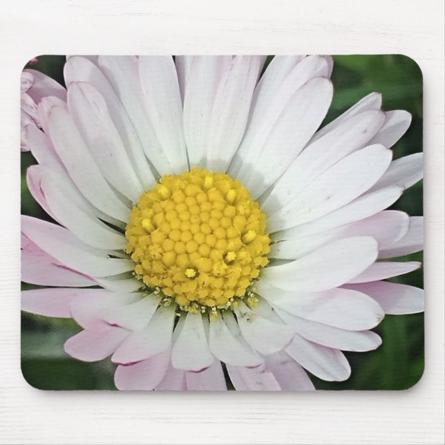 Pretty daisy mouse pad (Front)