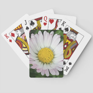 Pretty daisy playing cards