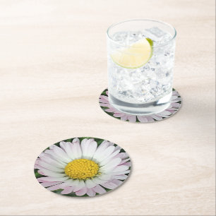 Pretty daisy round paper coaster
